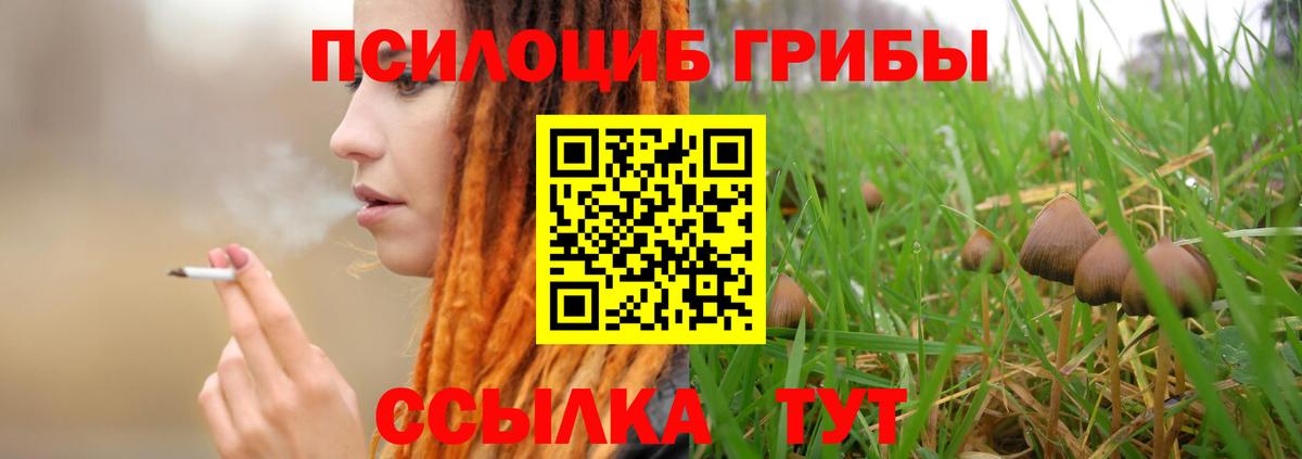 Галлюциногенные грибы мухоморы  сколько стоит  Миллерово  Вход с VPN 